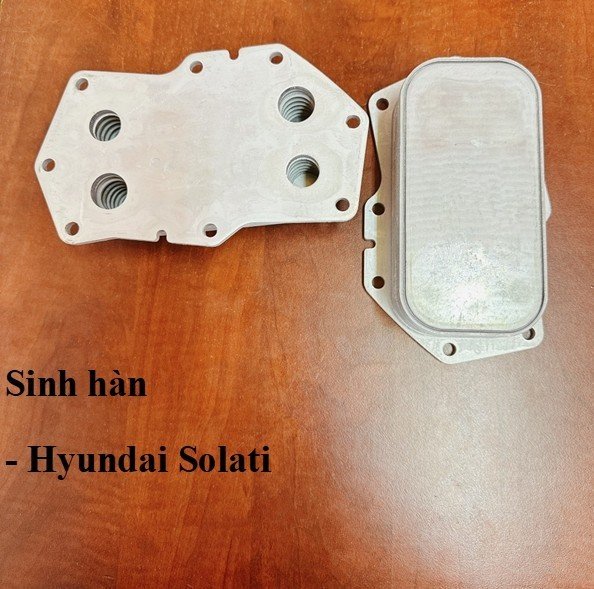 Sinh hàn Hyundai Solati